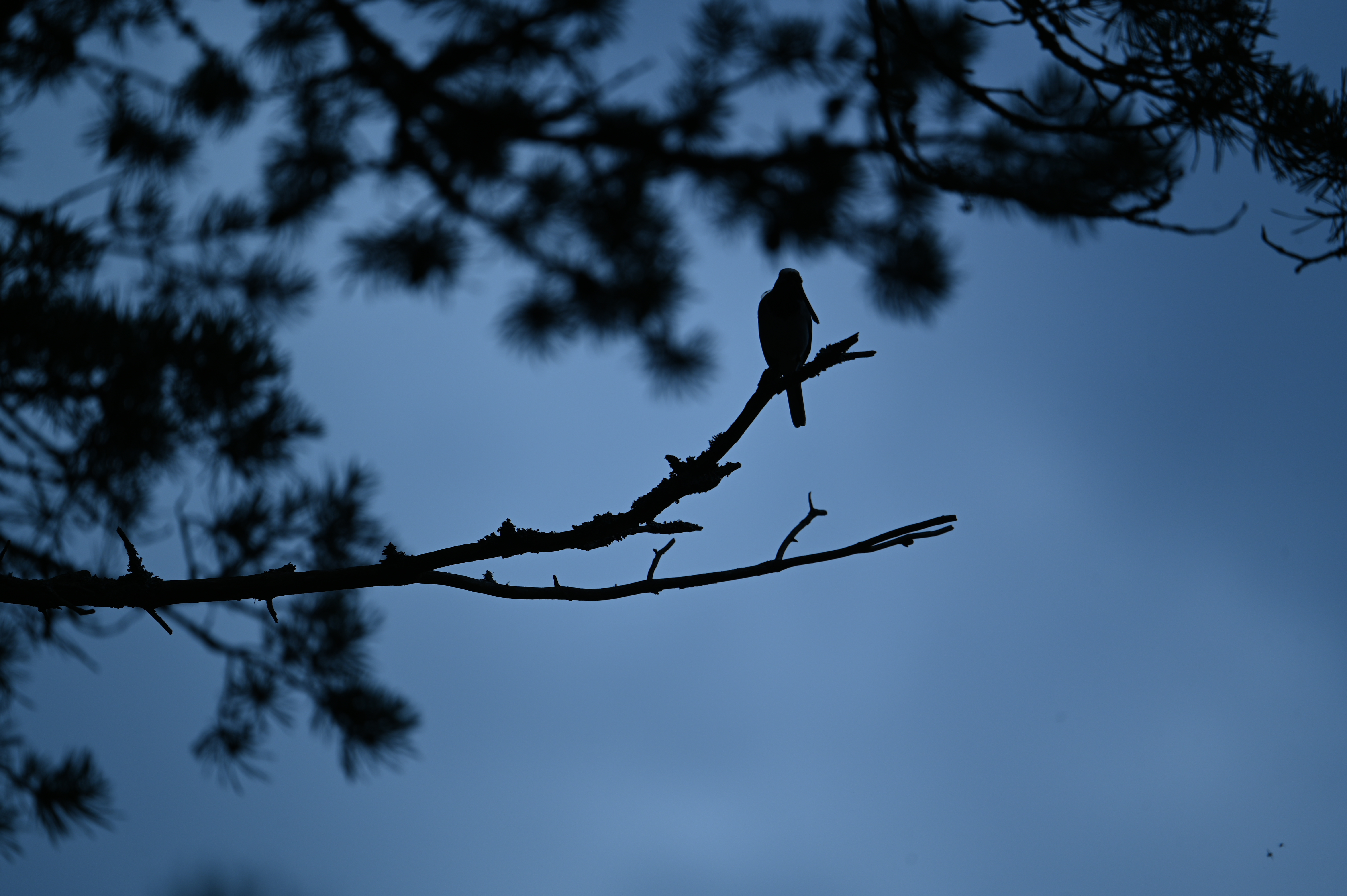 2025/07/09-14 - trip/DSC_0402.JPG